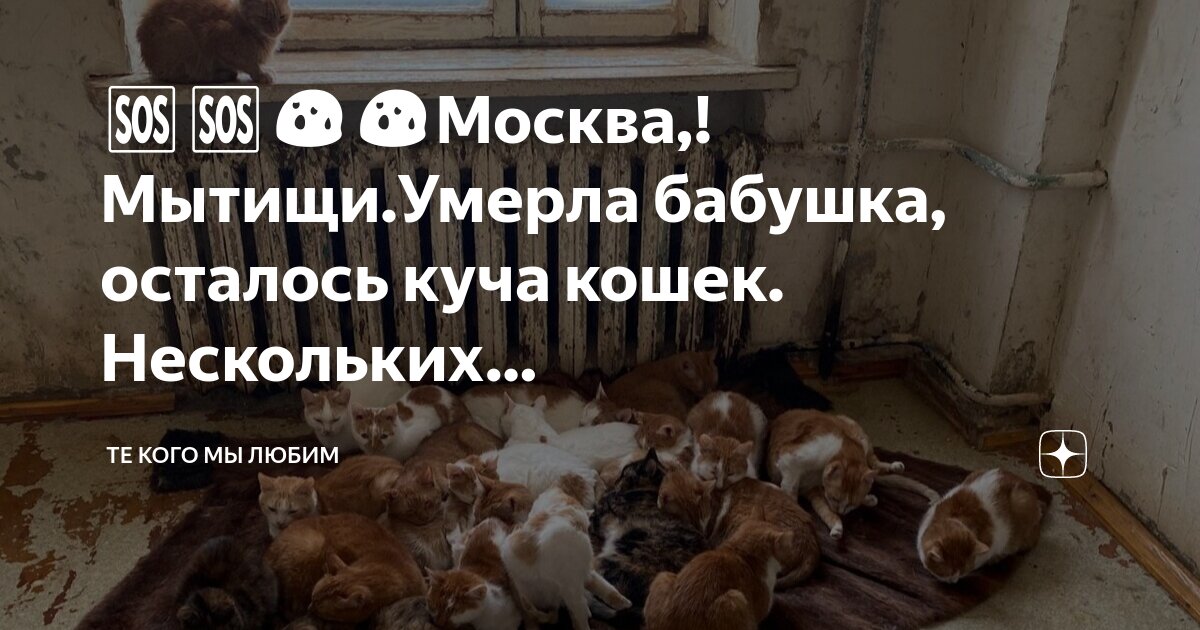 надо было оставаться. иногда лучше уйти. должен остаться только один. оставляйте прошлое в прошлом.