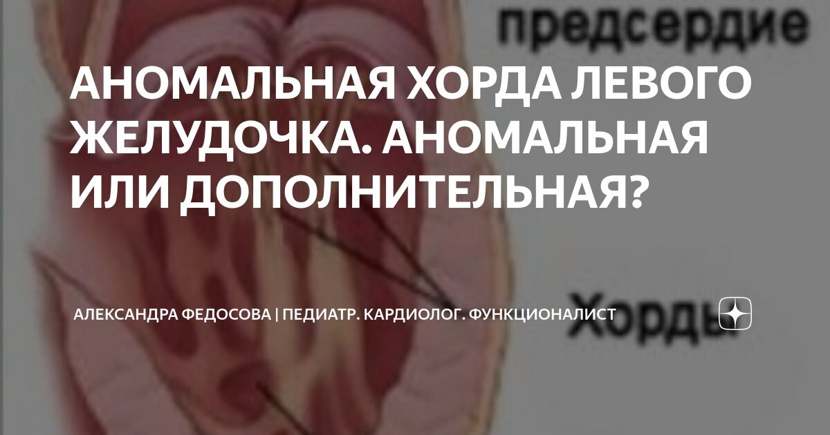 АНОМАЛЬНАЯ ХОРДА ЛЕВОГО ЖЕЛУДОЧКА. АНОМАЛЬНАЯ ИЛИ ДОПОЛНИТЕЛЬНАЯ? | Мед ...
