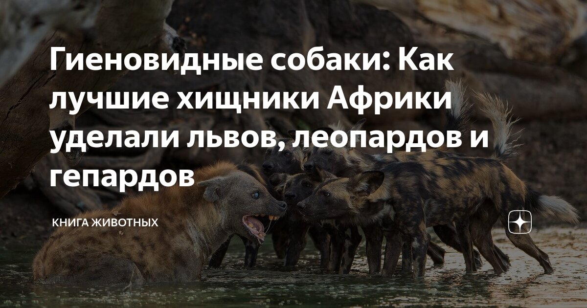 Книги древние животные читать. Читать книгу хищная. Хищник читать. Мистические романы. Читать книгу хищная.