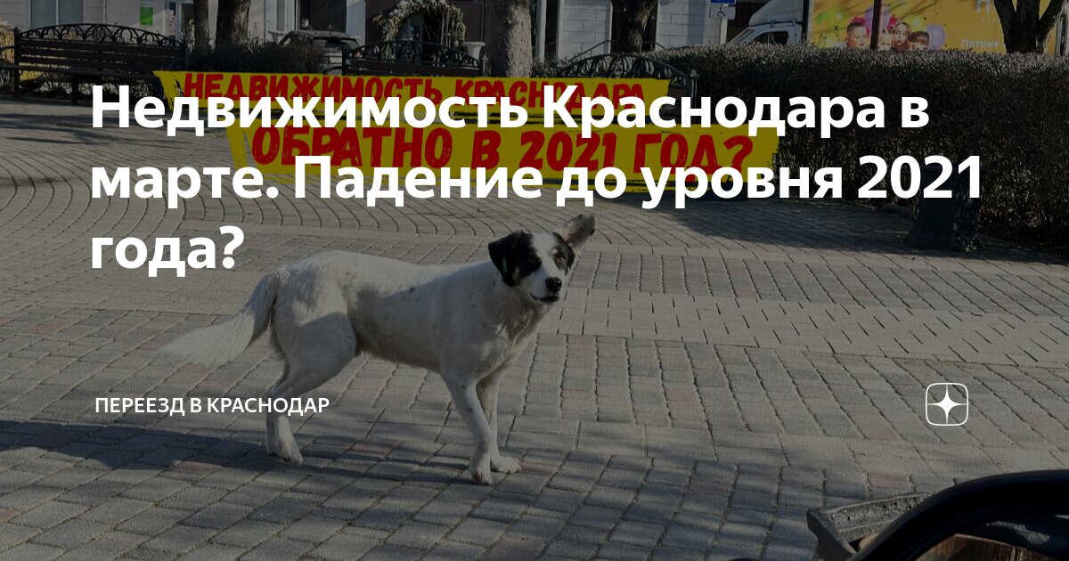 Население краснодара в 2021 году после переписи 2021