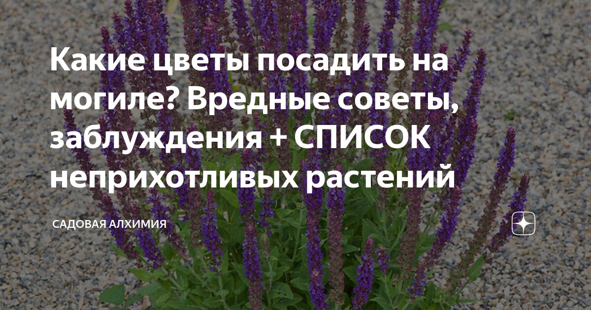 Кожевниковская межмуниципальная централизованная клубная система | Главная