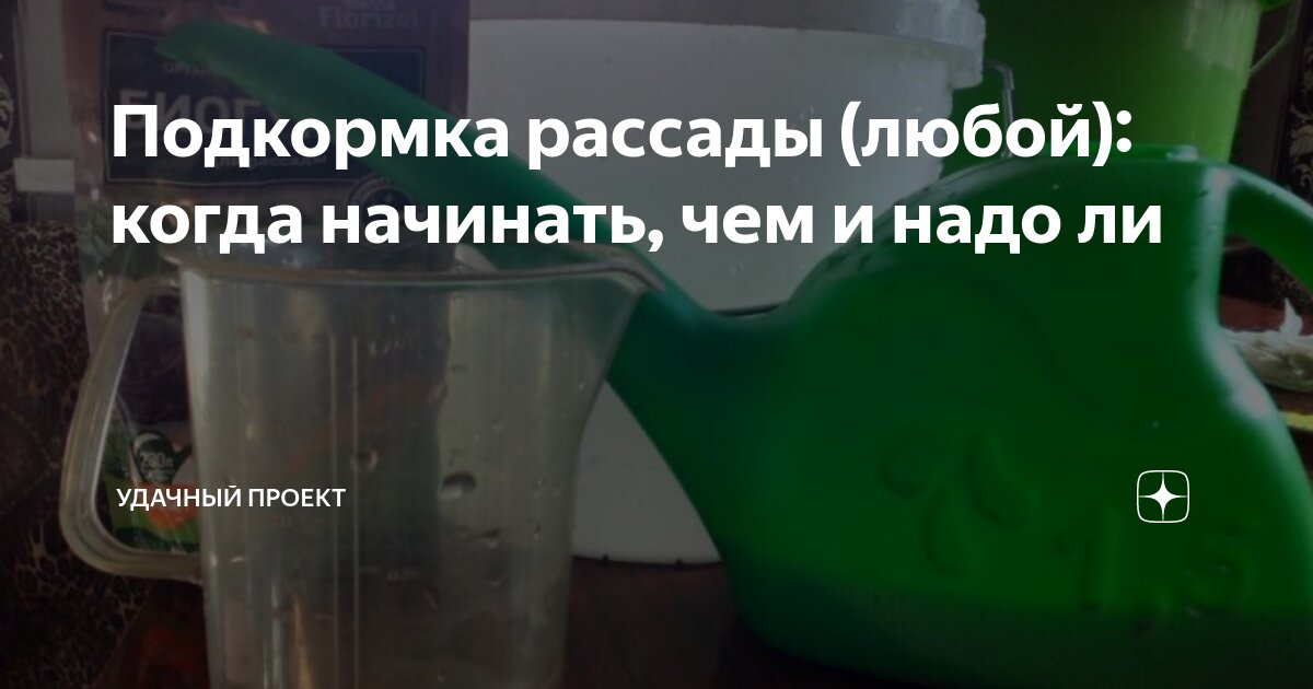 Подкормка рассады (любой): когда начинать, чем и надо ли | уДачный ...