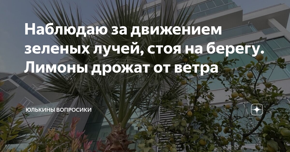 Наблюдаю за движением зеленых лучей, стоя на берегу. Лимоны дрожат от ...