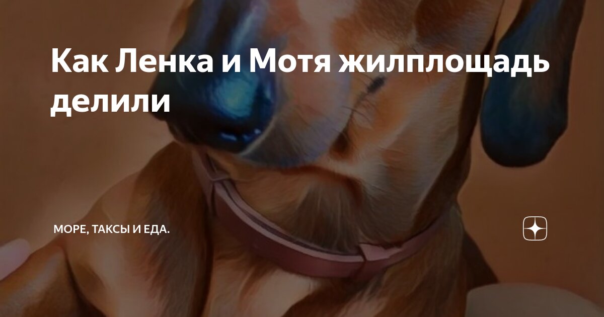 Как Ленка и Мотя жилплощадь делили | Море, таксы и еда ♡ | Дзен