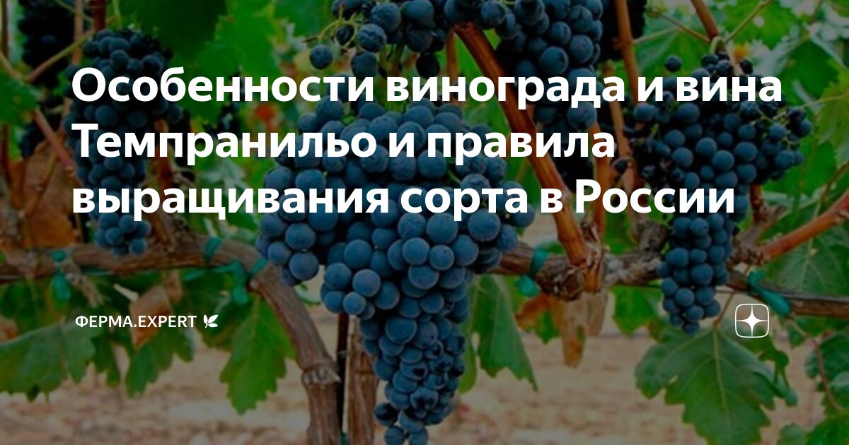 Уникальные черты растения