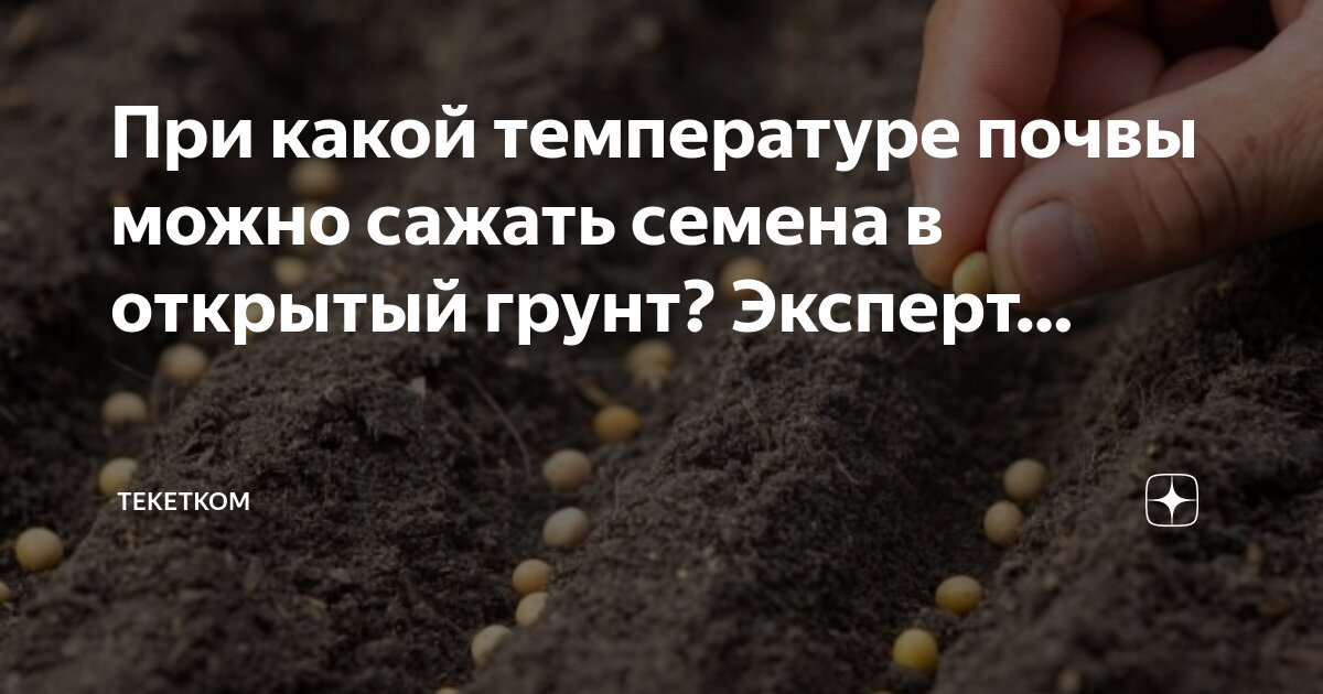 При какой температуре почвы можно. Сроки посева овощных культур таблица. Температурный режим для перцев и томатов в теплице. Температура при выращивании огурцов в теплице. При какой температуре почвы можно.
