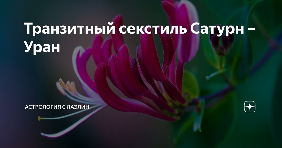 Үлкен табиғи кеудесі бар арық қыз