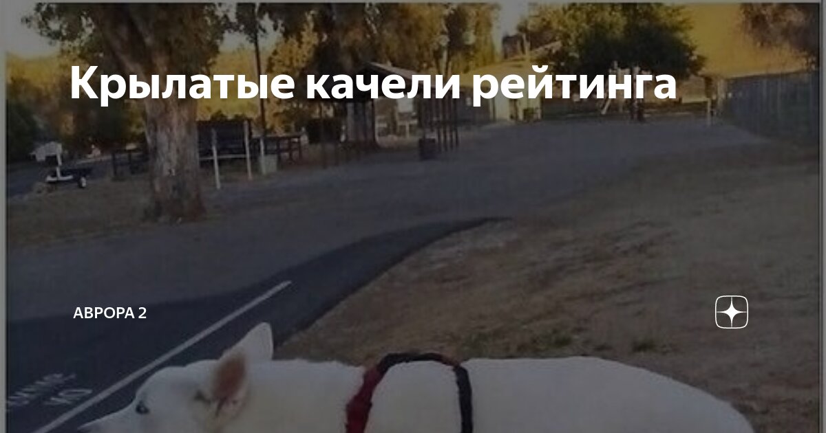 Крылатые качели рейтинга | АВРОРА 2 | Дзен