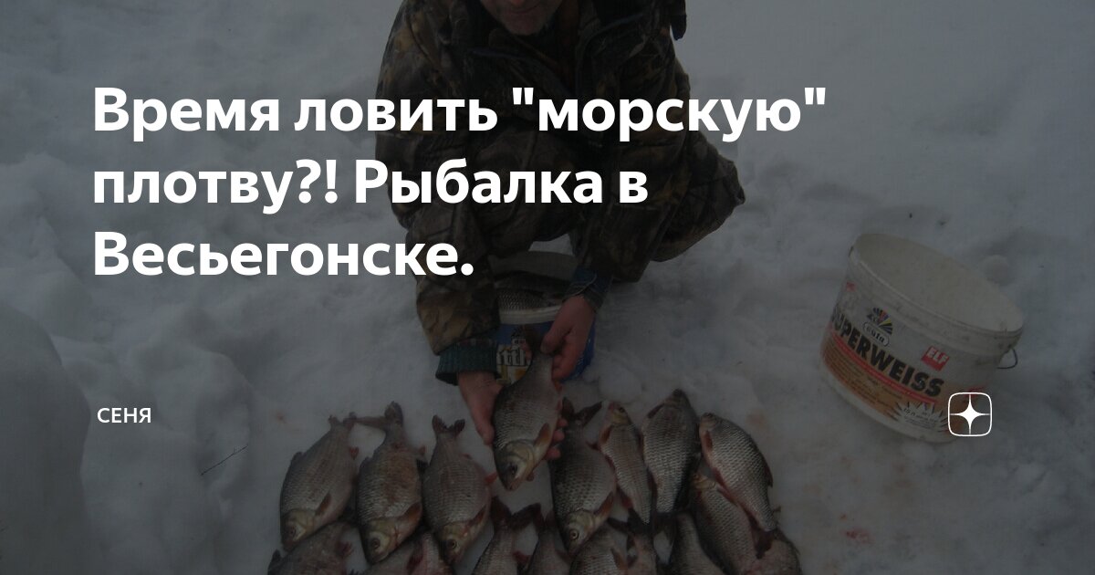 Время ловить "морскую" плотву?! Рыбалка в Весьегонске. | СЕНя | Дзен