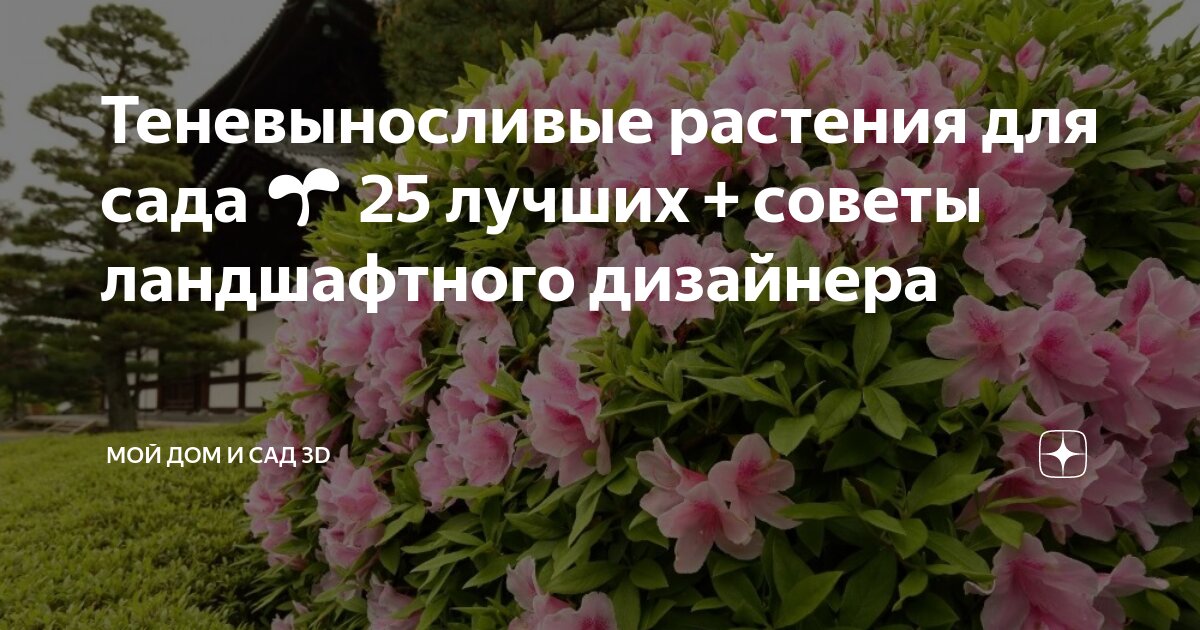Детский сад теремок п. Детский сад 197 краснодар. Детский сад 2 рп лунино. Детский сад номер 21. Детский сад 23 череповец.