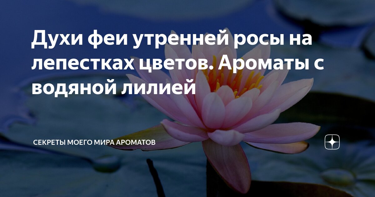 Духи феи утренней росы на лепестках цветов. Ароматы с водяной лилией ...
