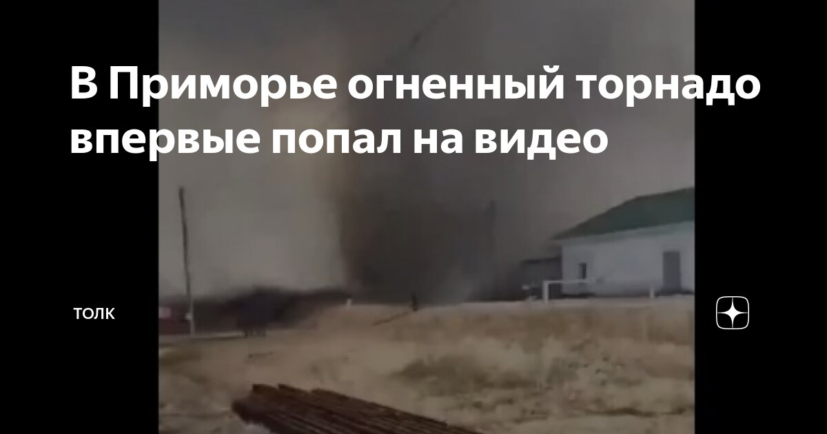 В Приморье огненный торнадо впервые попал на видео | ТОЛК | Дзен