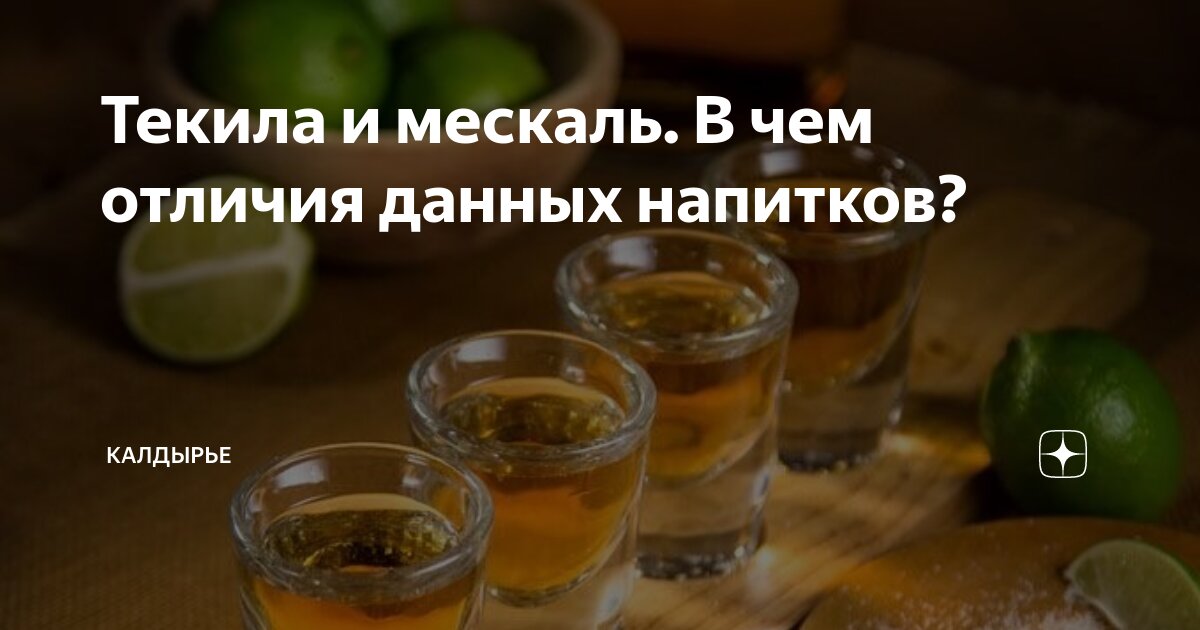 Текила и мескаль. В чем отличия данных напитков? | Калдырье | Дзен