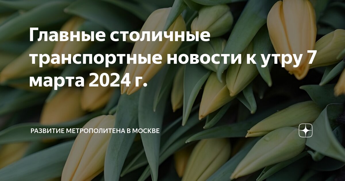 Когда будет в москве утром. 11 февраля утро москва фото. «добрейшего» утро москва. Утро в москве фото. Утренняя москва фото.