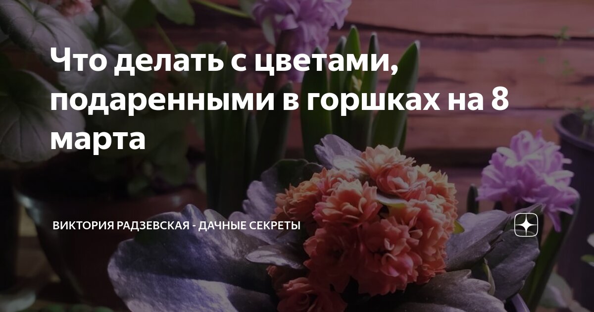 что делать с подаренными звездами в тг