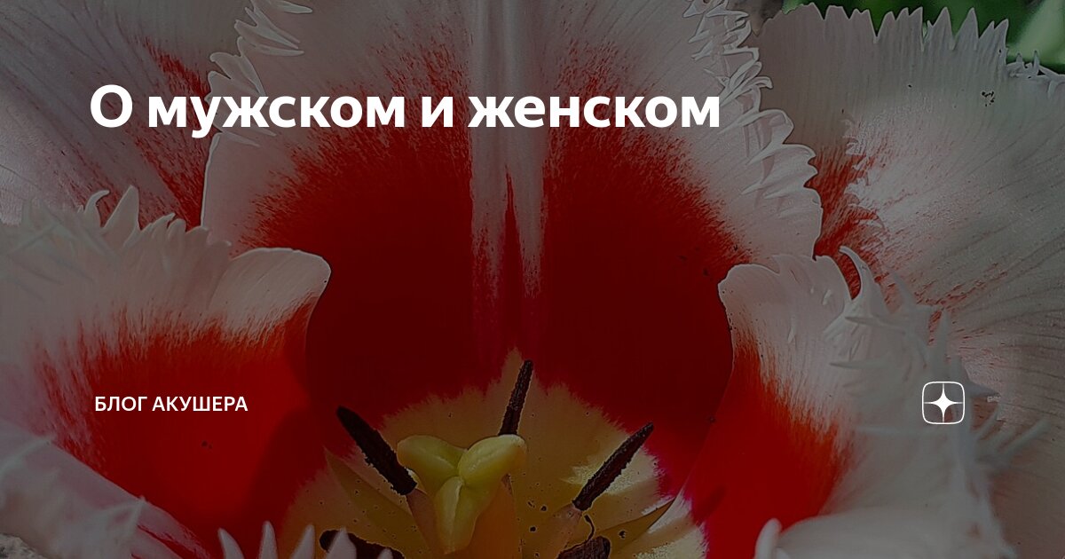 О мужском и женском | Блог акушера | Дзен