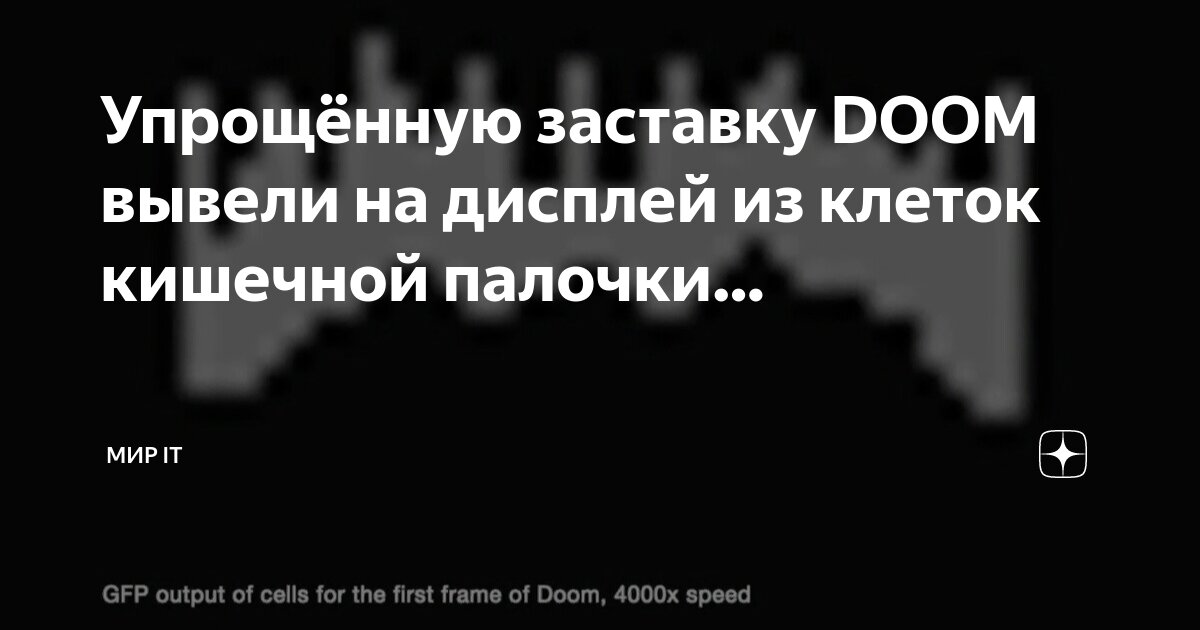 Дум запустили на кишечной палочке. Escherichia coli симптомы отравления. Бактерия escherichia coli. Дум запустили на бактериях. Кишечная палочка протей.