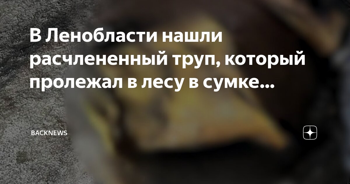 Время без забот. Лес вечером. Стихи про осенний туман. Ночной лес с луной. Лесистая лощина.