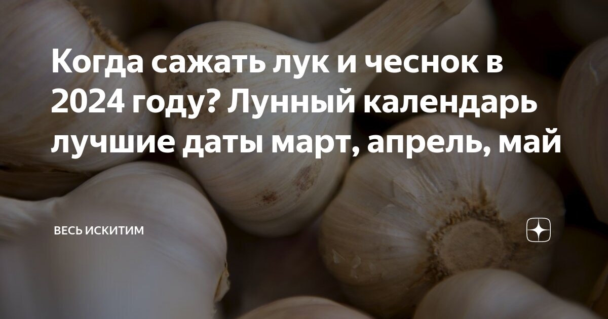 таблица посадок на 2023 год для садоводов. лунный календарь на 2021 год садовода и огородника. посевной календарь на 2023 таблица. посадочные дни в марте 2024. благоприятные дни для посадки в феврале 2024.