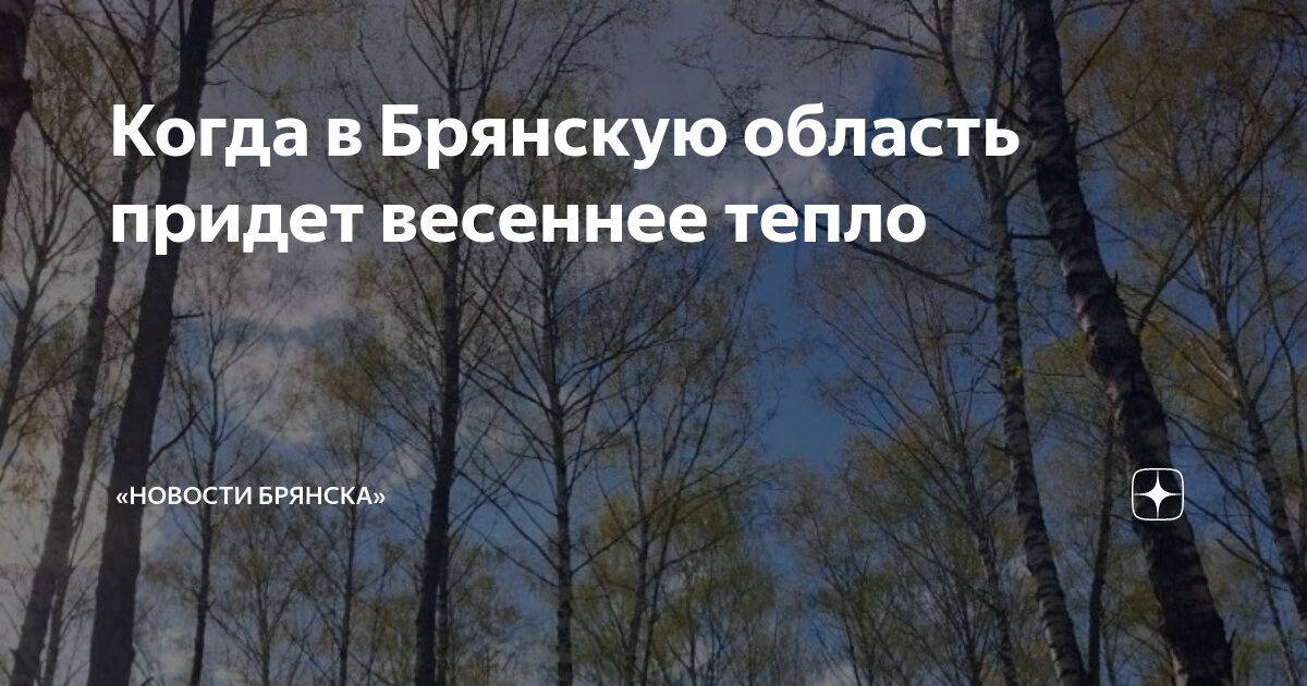 В брянске обманули деда. Брянск взят. Сквер ленина брянск. Брянск взят. Дорожная 28.