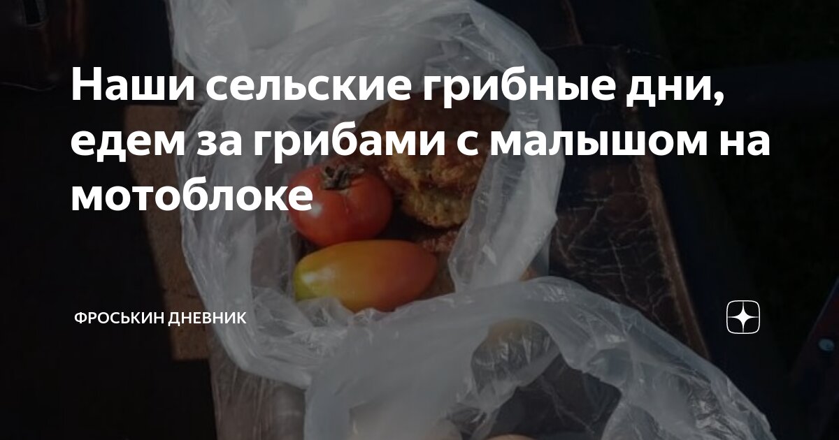 недействительность юридического лица. статья другая сторона. недействительность сделки. представление доказательств в гражданском процессе. статья 128.