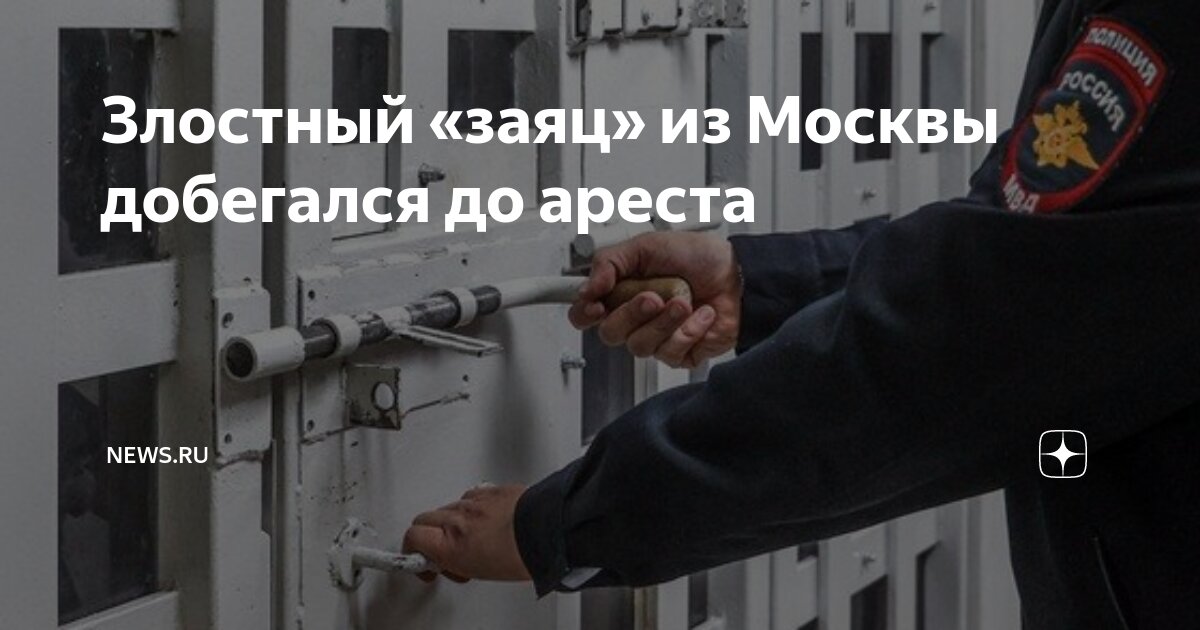 Злостный «заяц» из Москвы добегался до ареста | NEWS.ru | Дзен