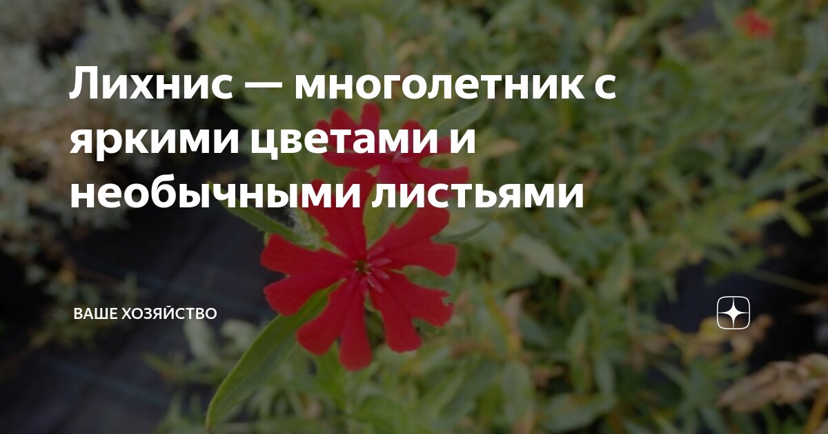 Оптимальные условия для роста