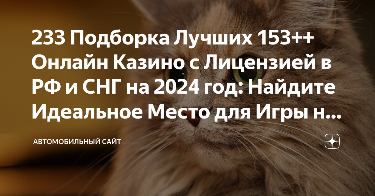 Хочу больше информации. Справ. Хочу больше информации. Мемы много информации. Хочется большой и чистой зарплаты.