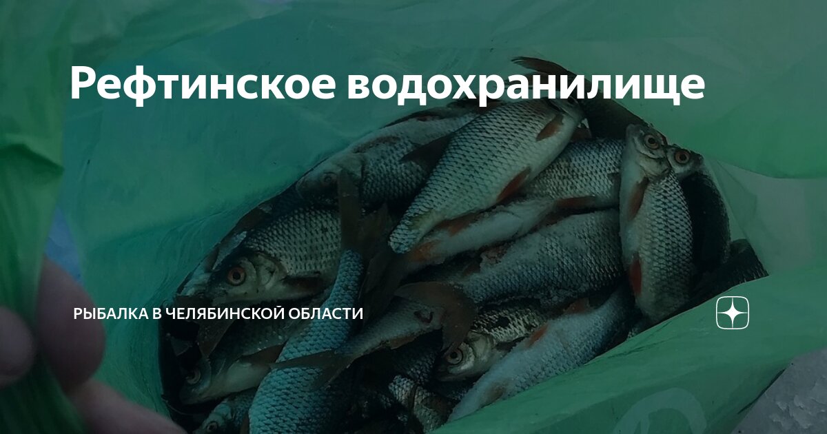 тсн "рыбак-8" севастополь. ст рыбак 3. ст рыбак 5 севастополь. ст рыбак 3. дачи улица жасминная приозерное.