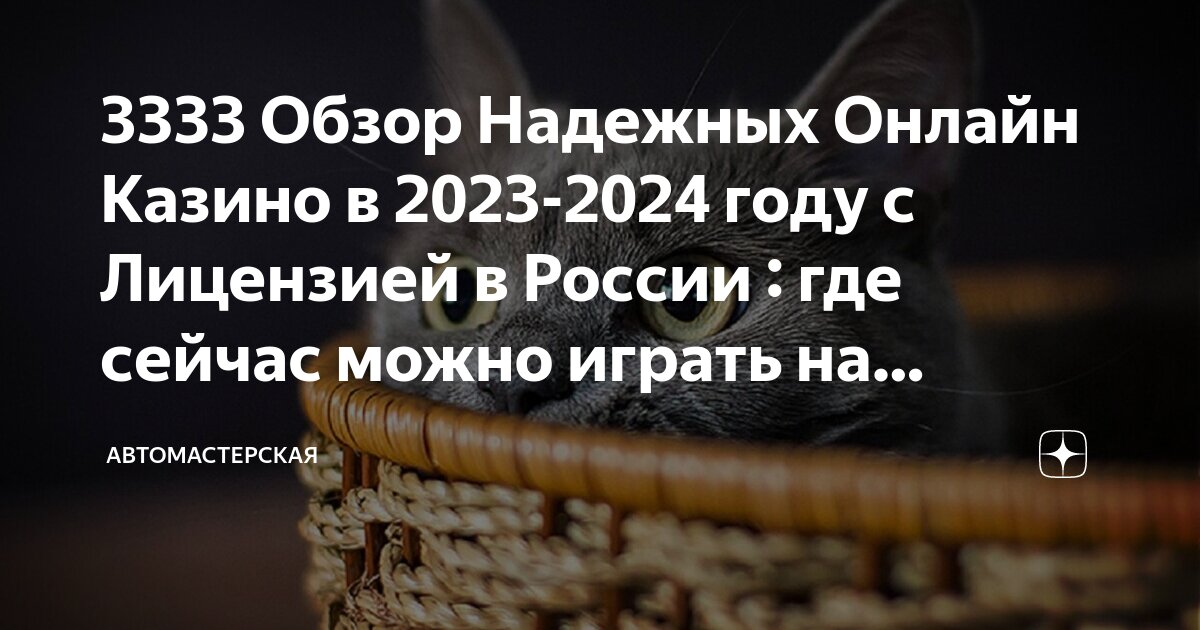 соотношение статьи и нормы. в статье можно узнать. где в статье указан номер издания. статья 446 гражданского процессуального кодекса. чтотоакое энциклопедия.