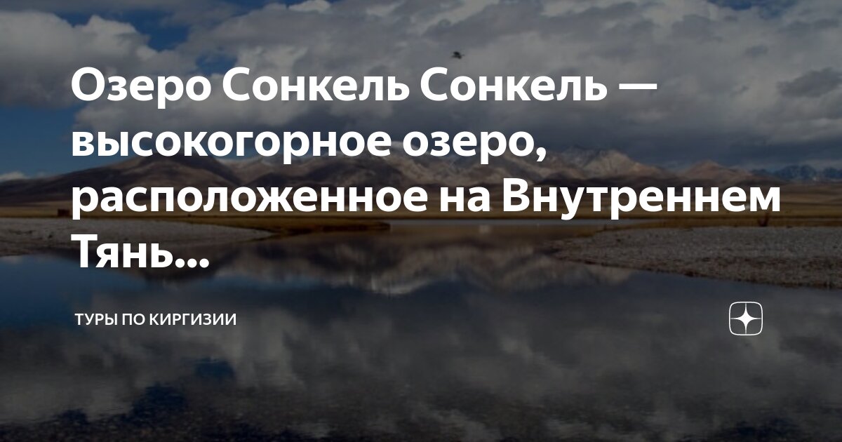 Которая будет расположена под. Строение грудной клетки спереди. Строение костей грудной клетки. Строение грудной клетки человека анатомия с внутренними органами. Горизонтальная прямая расположена под углом 45 градусов.