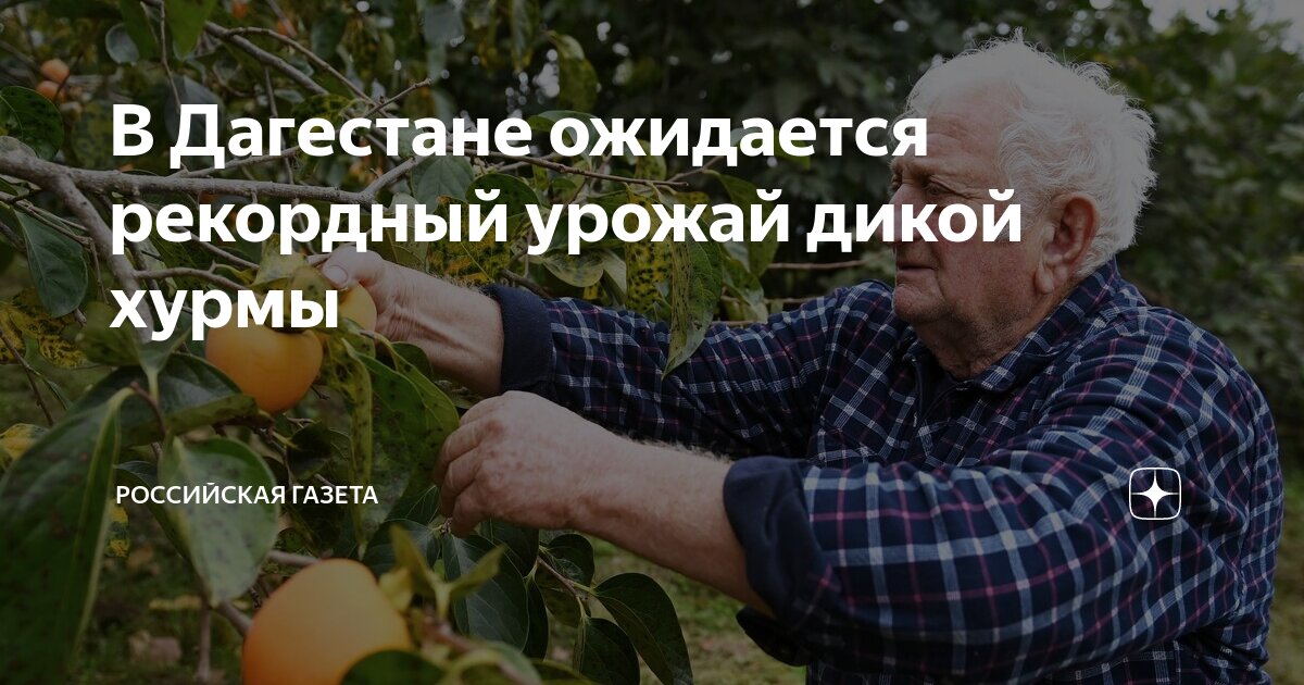 террасные виноградники мозель. сбор урожая на даче. советские плакаты урожай. я ожидаю не только высоких урожаев. советские плакаты.