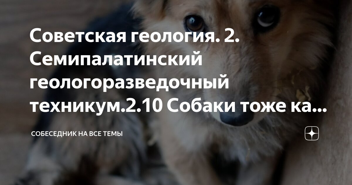 Детективные загадки для детей. Комната депрессивного человека. Загадка про комнату для детей. Загадка про этаж. Можете ответить в комнате 10 человек.