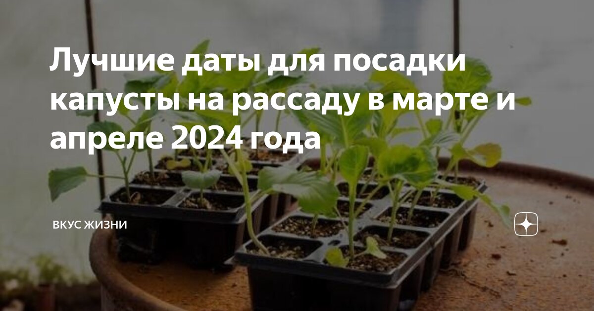 Лунный посадочный календарь. Лу нный посевной календарь нпа март. Календарь рассады. Благоприятные дни для посева семян в марте. Благоприятные дни для посадки рассады.