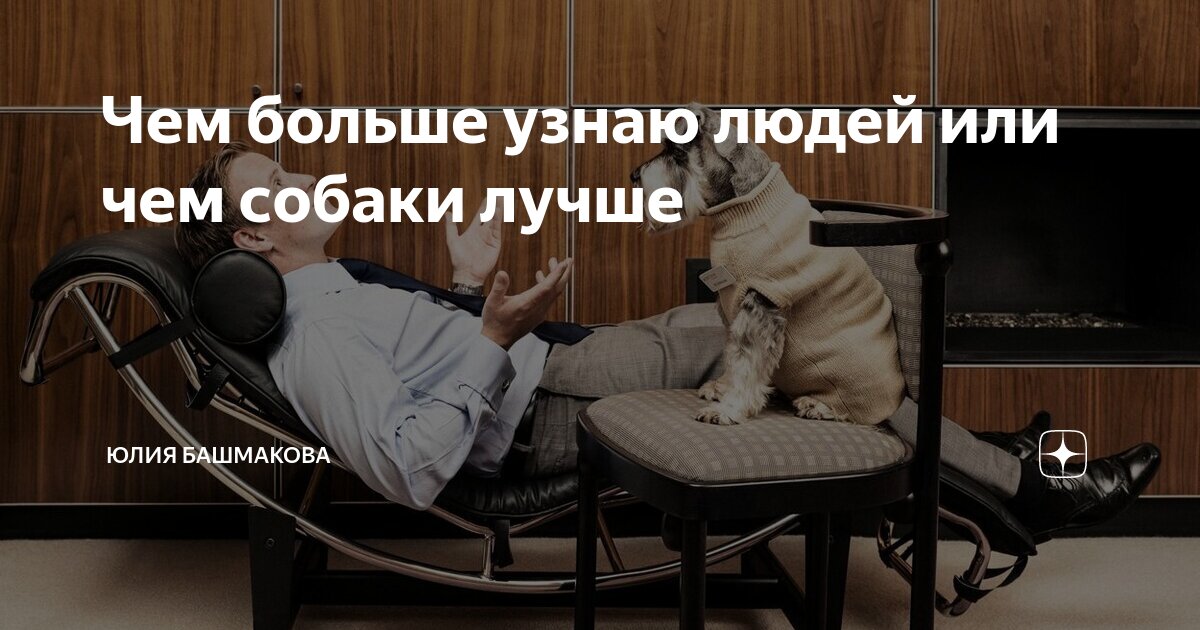 чем больше я узнаю людей тем больше я люблю собак