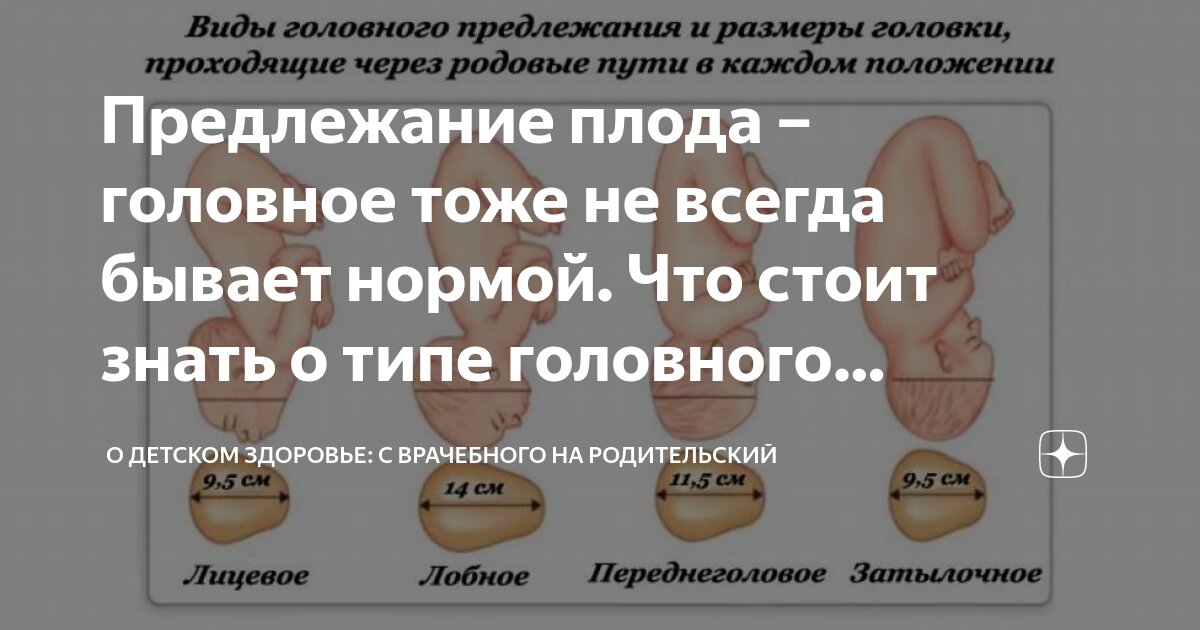 Физиологическое течение родов. Общее понятие о родах.