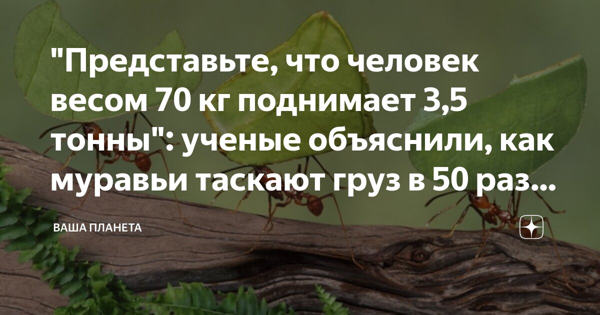 веревка перекинута через неподвижный блок. судно погружено в воду до ватерлинии вытесняет воду объемом 15000 м3. определите кпд рычага. сила натяжения на двух тросах. груз массой 3 6 кг.