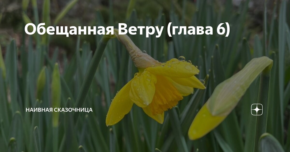 Обещанная Ветру (глава 6) | Наивная сказочница | Дзен