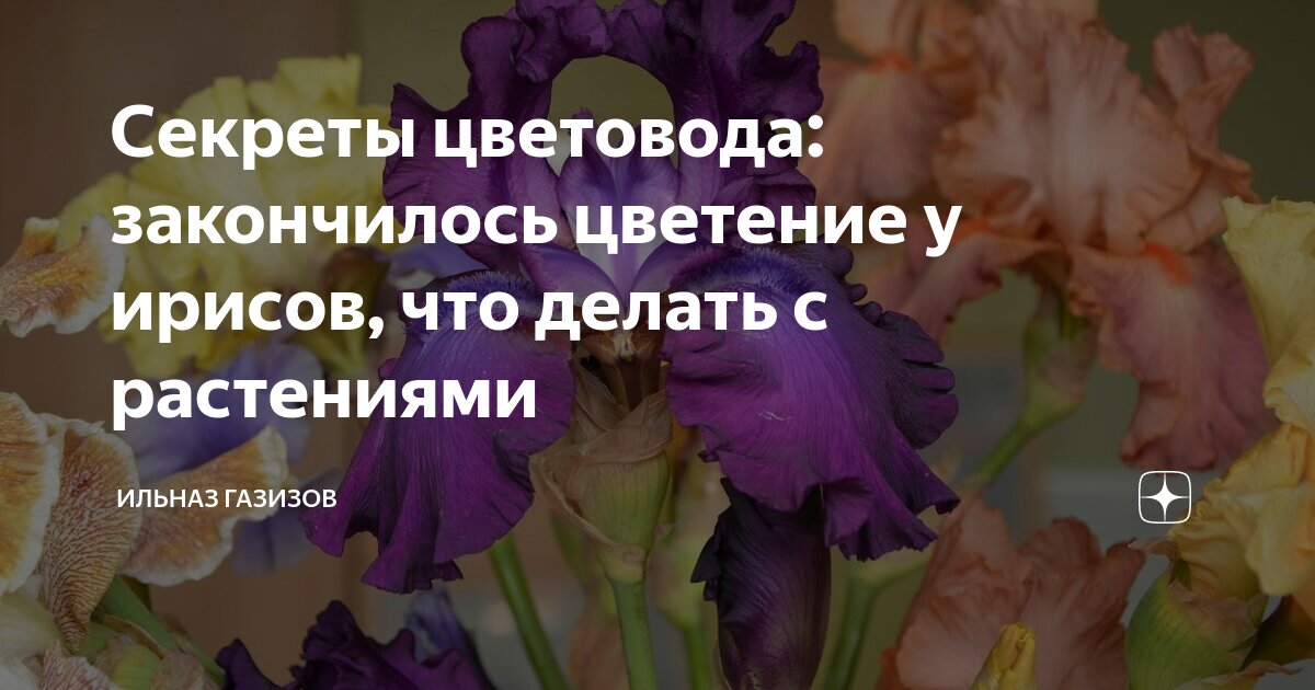 Мемы про лето. Нет интернета. Что будет если не будет нефти. Что делать если кончилось. Что делать если закончились деньги.