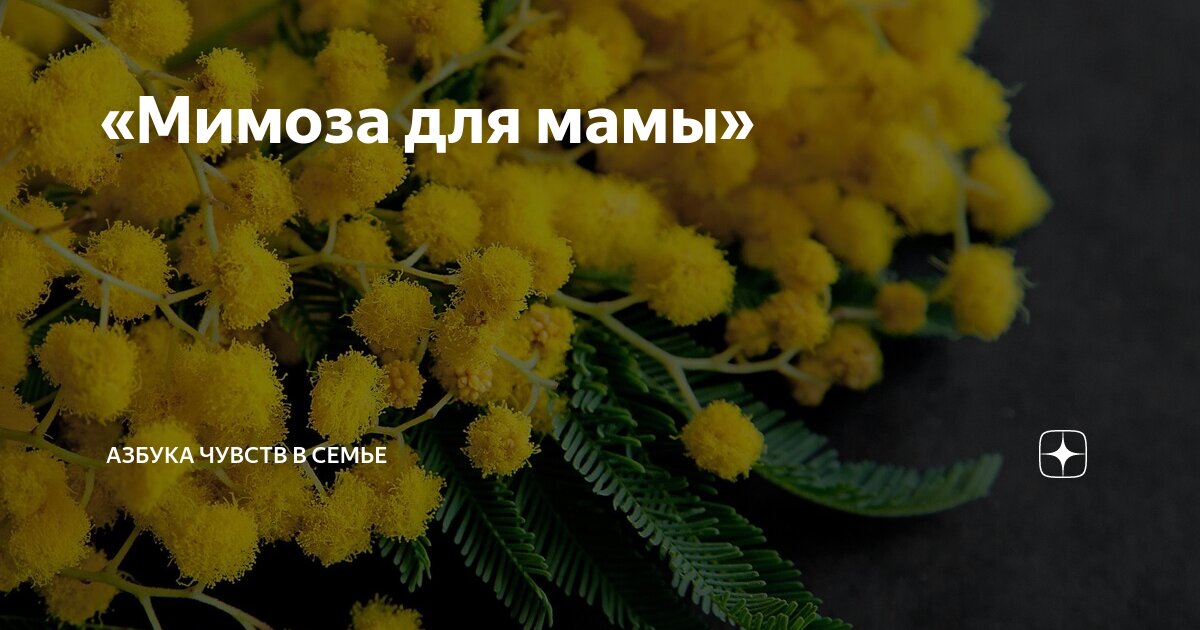 Аппликация мимоза из ваты на 8 Марта | Графоманим на двоих