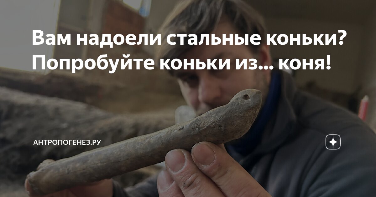 Вам надоели стальные коньки? Попробуйте коньки из... коня ...