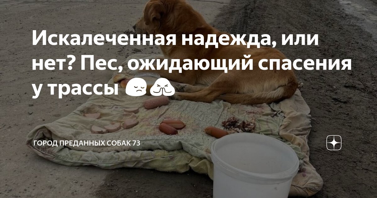 Ожидая спасения. Ожидая спасения