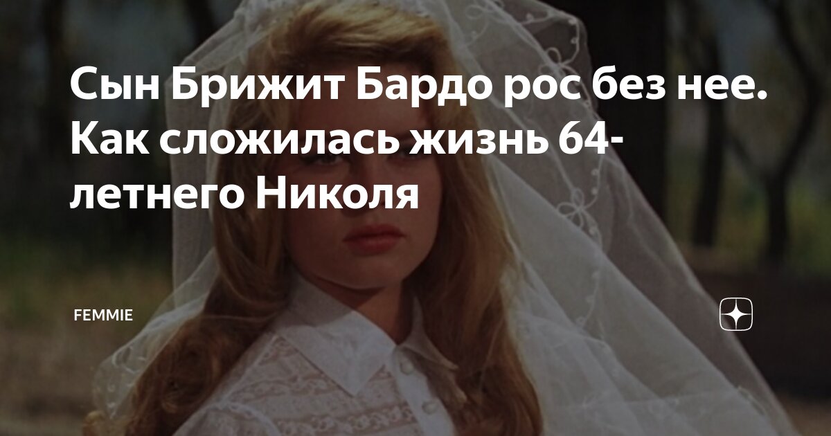 Сын Брижит Бардо рос без нее. Как сложилась жизнь 64-летнего Николя ...