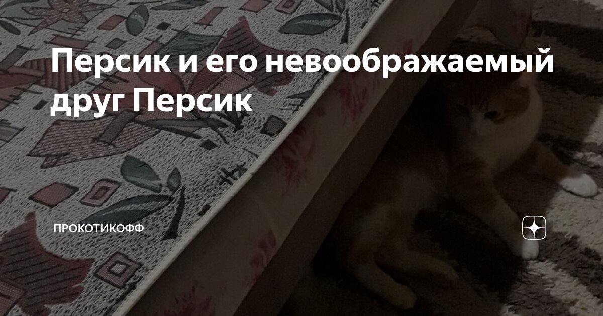 Персик и его невоображаемый друг Персик | прокотикофф | Дзен