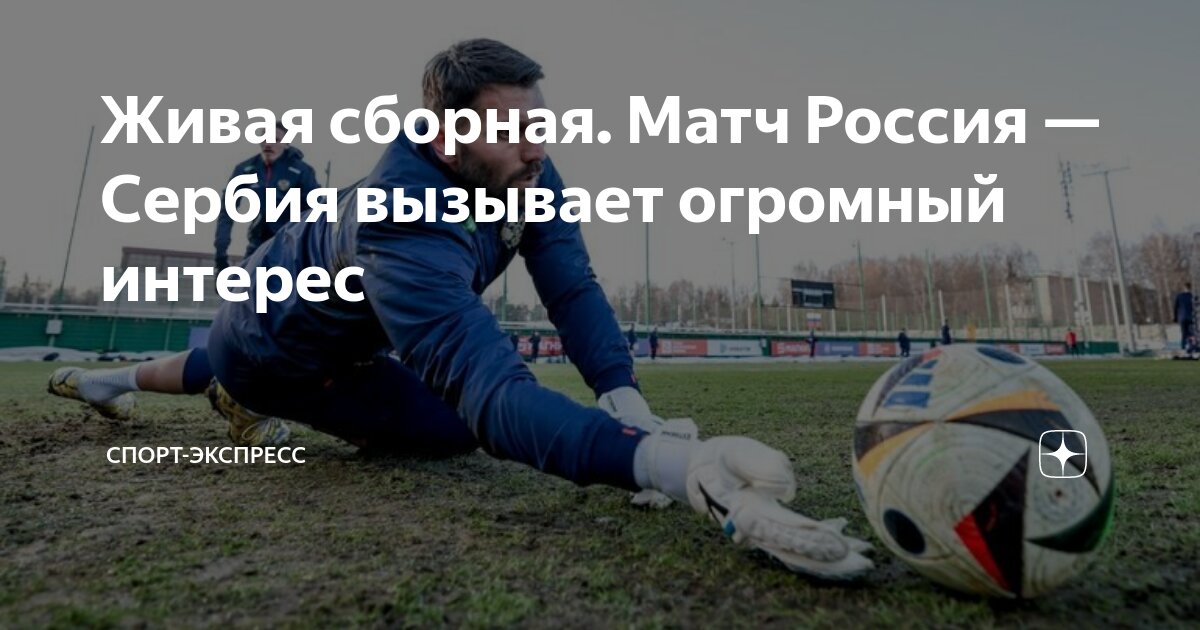 россия сербия футбол