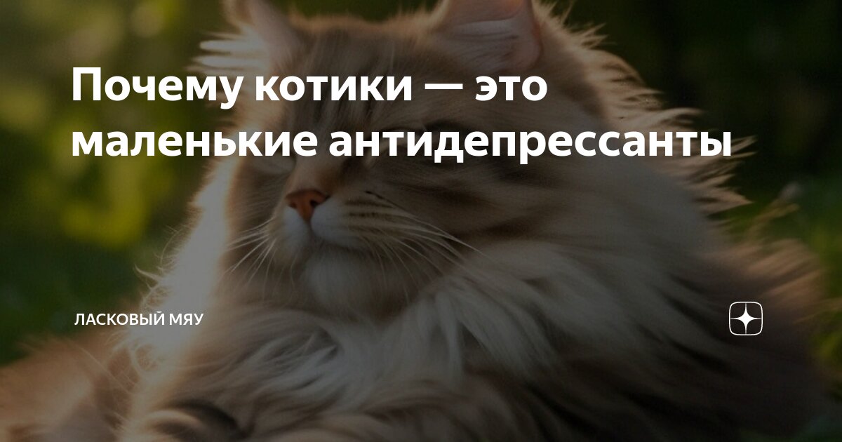 Почему многие животные. Почему многие животные