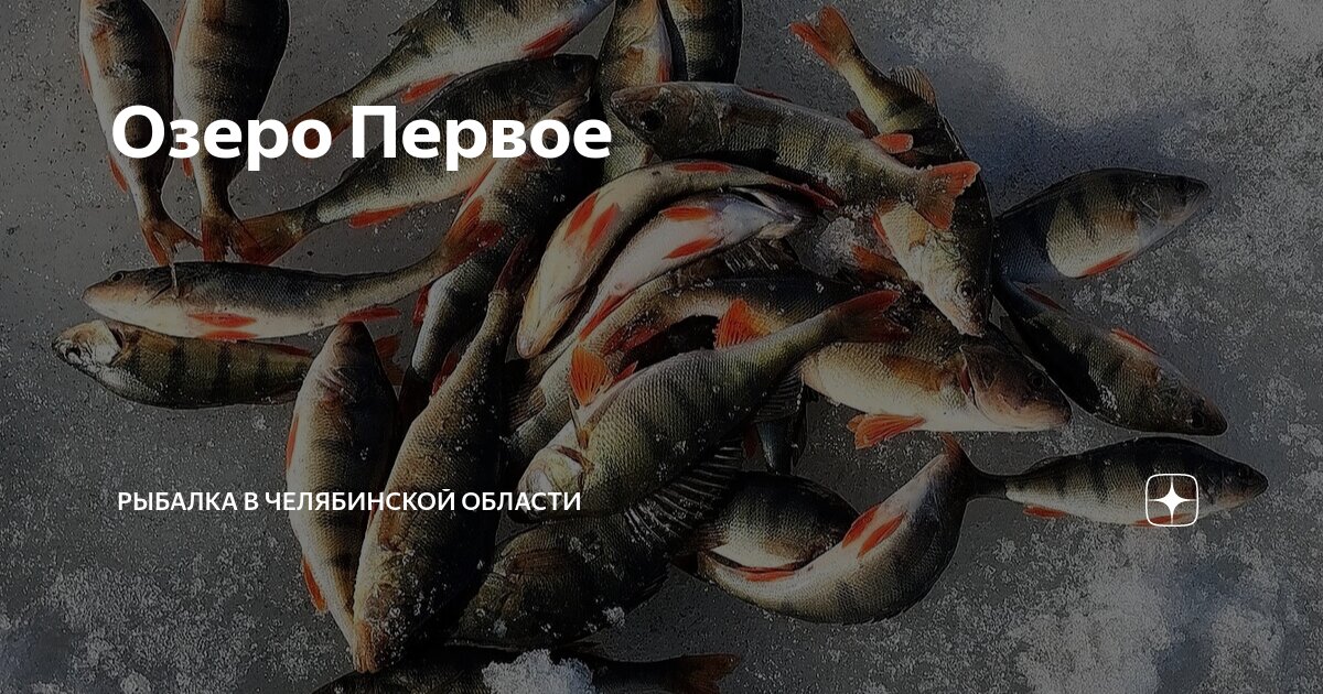 рыбалка от первого лица. байнауш озеро в челябинской. озеро васюхино в коченево. озеро большое рыбалка. красивая природа рыбалка.