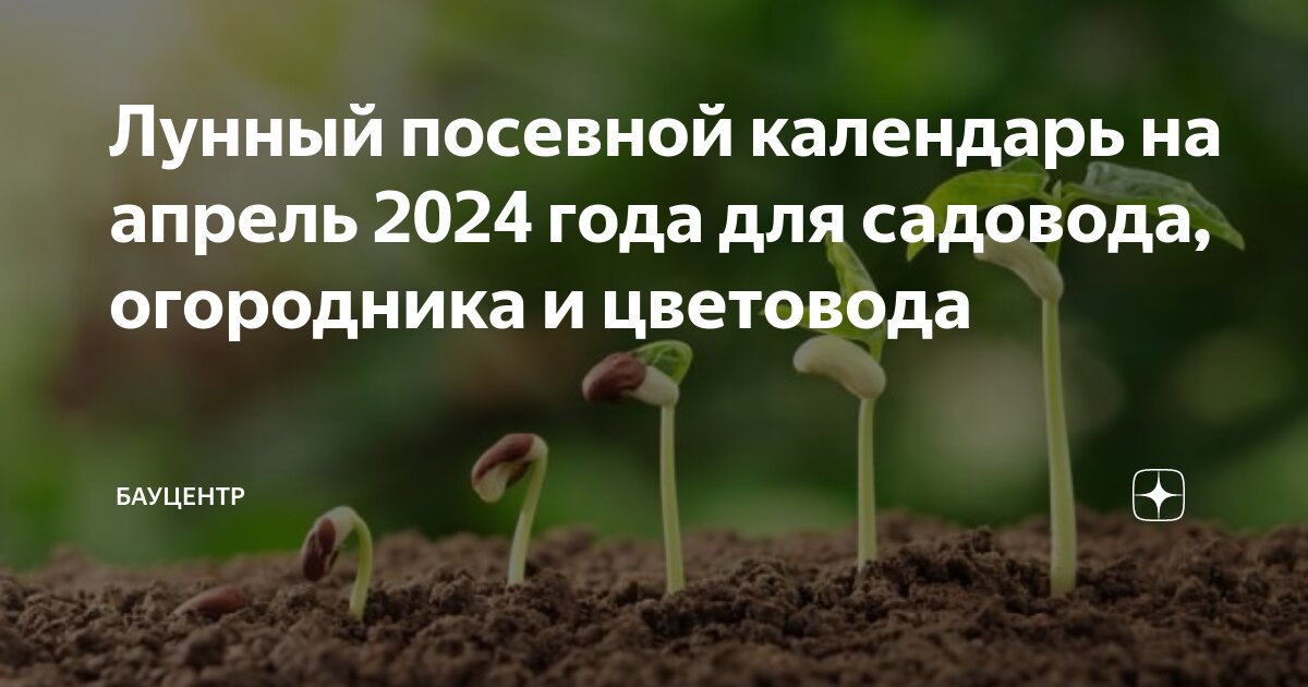 Растущая луна марте 2024 года для посадки