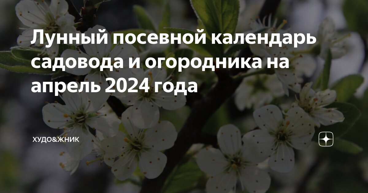 благоприятные дни для посадки однолетних цветов. лунный календарь посева на 2024. лунный посевной календарь. благоприятные дни для посадки в апреле 2023. благоприятные дни для посадки семян.