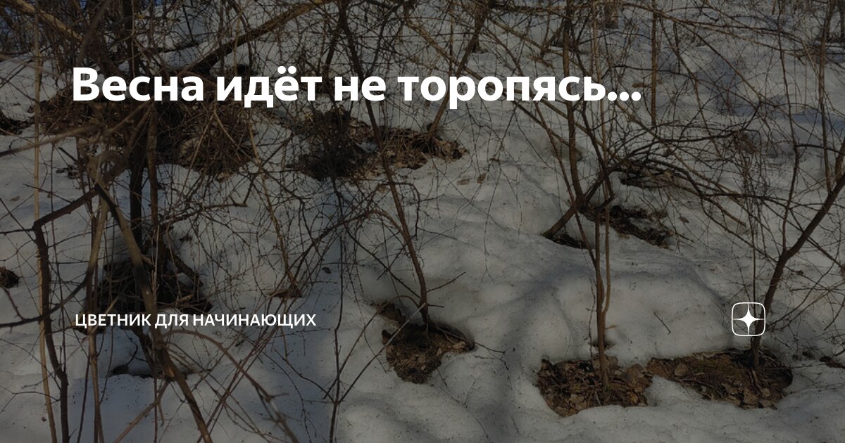 ишак зимой.